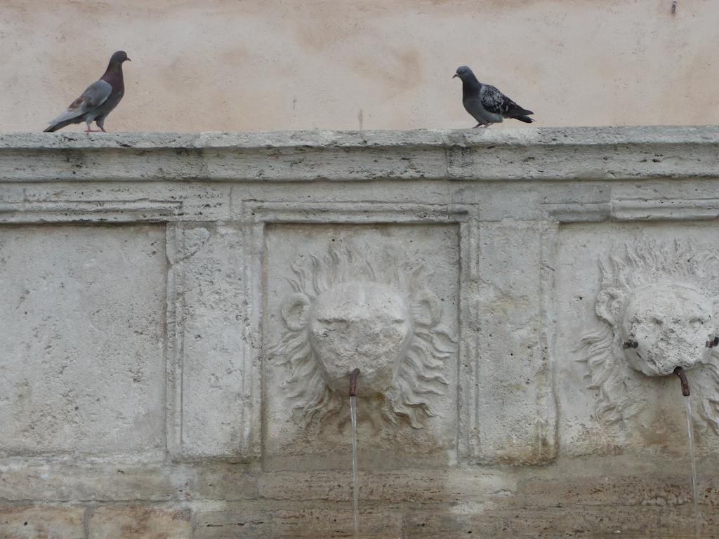 Villa Rosy Assisi Bagian luar foto