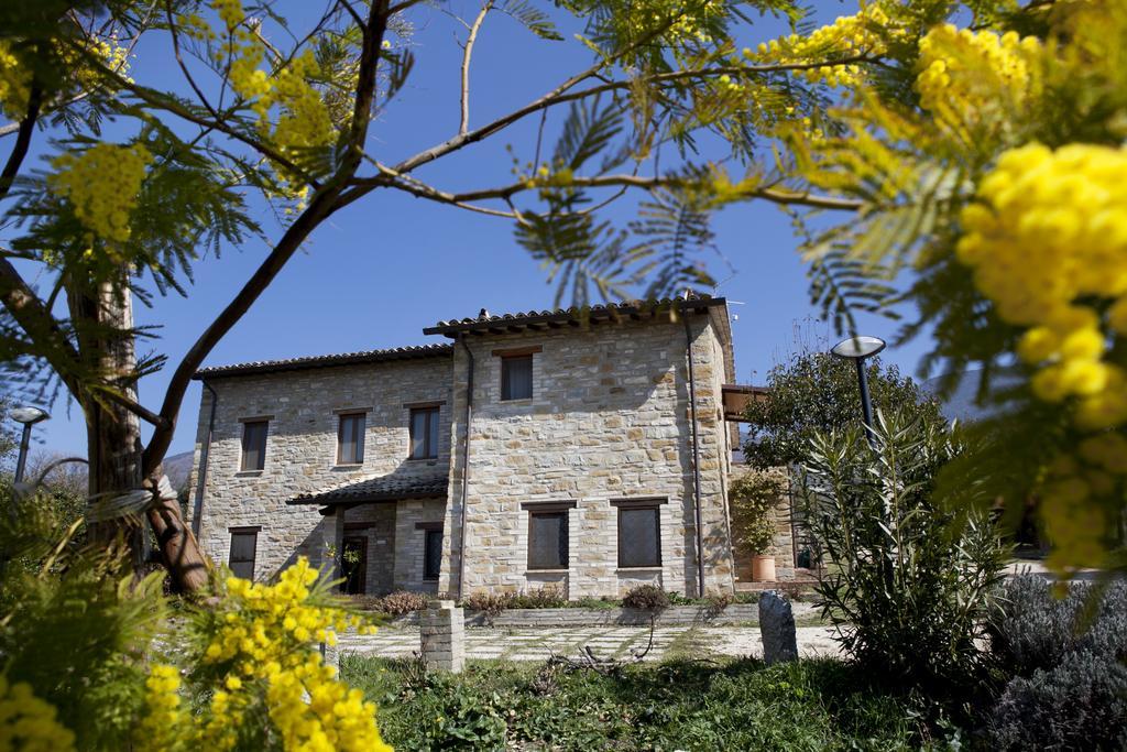 Villa Rosy Assisi Bagian luar foto
